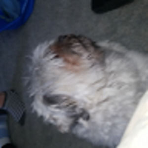 Meet your Posher, Jungwon